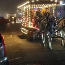 horse drawn carriage ride with white christmas ligths