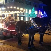 a carriage pulled by two horses backed with colored christmas lights