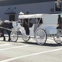 a daytime carriage ride through the city