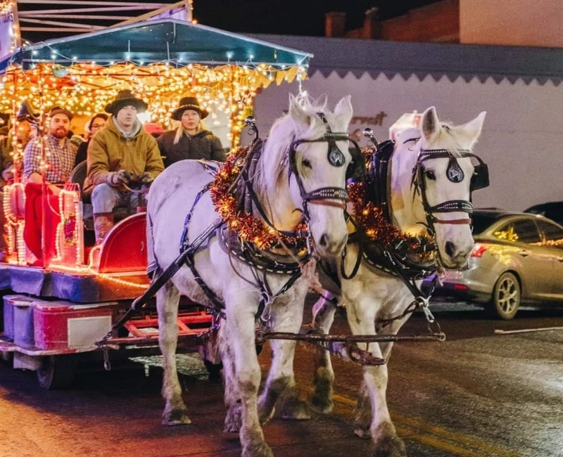 Trolley being pulled by horses for the Christmas light tour