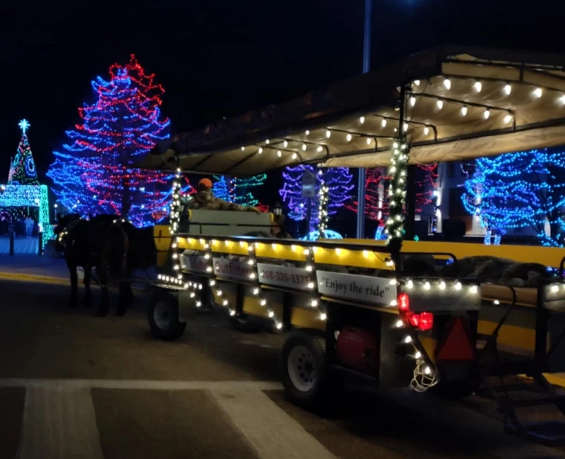 Wagon being pulled by horses for the Christmas light tour